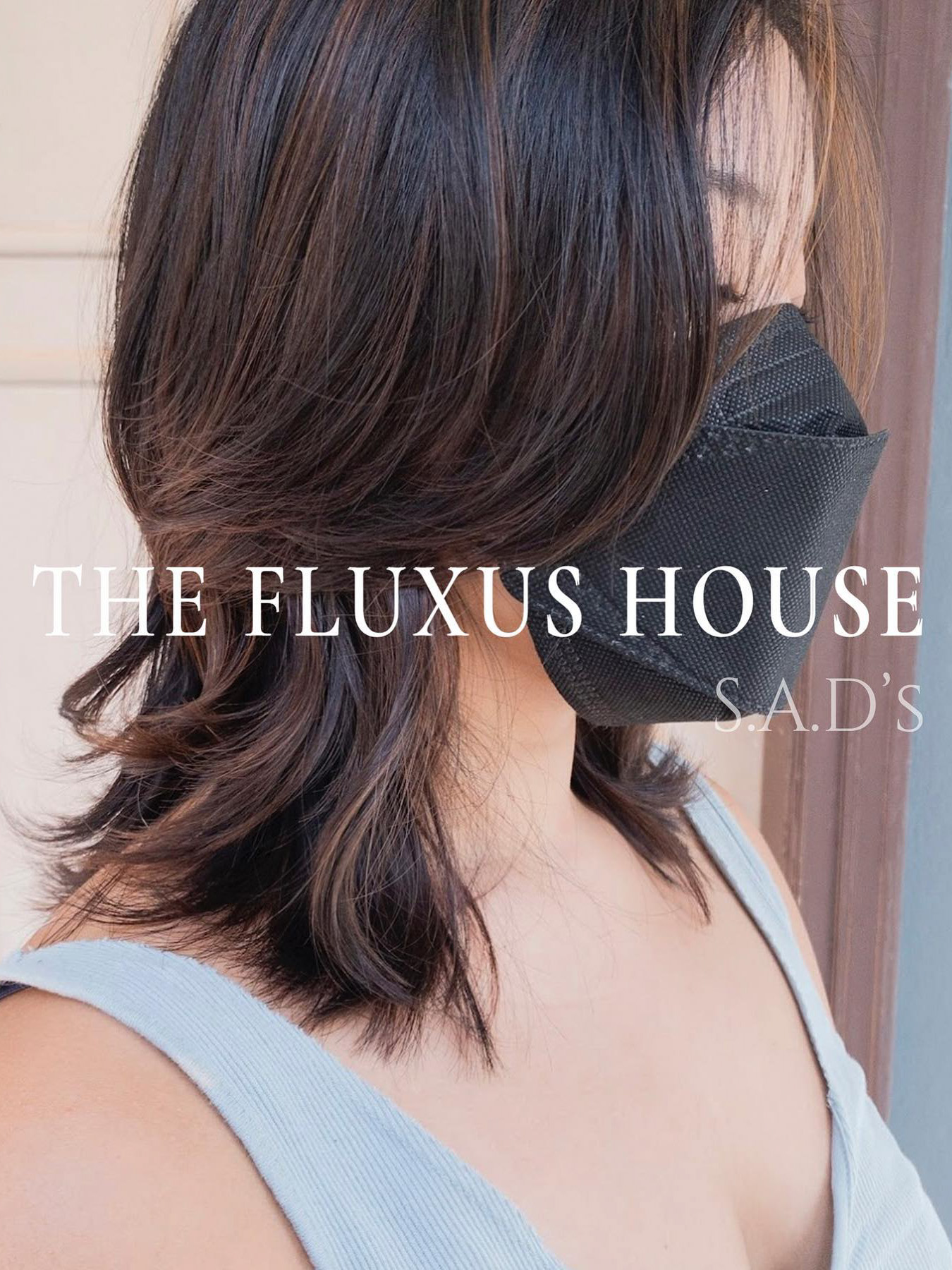 _THE FLUXUS HOUSE